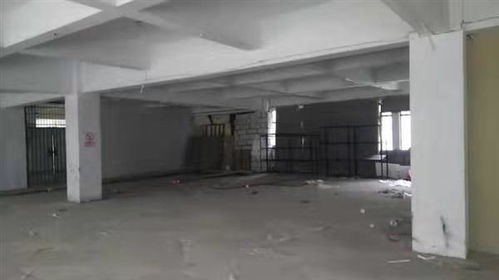房屋安全检测鉴定报告费用解析 深圳市启辉工程检测鉴定专业视角